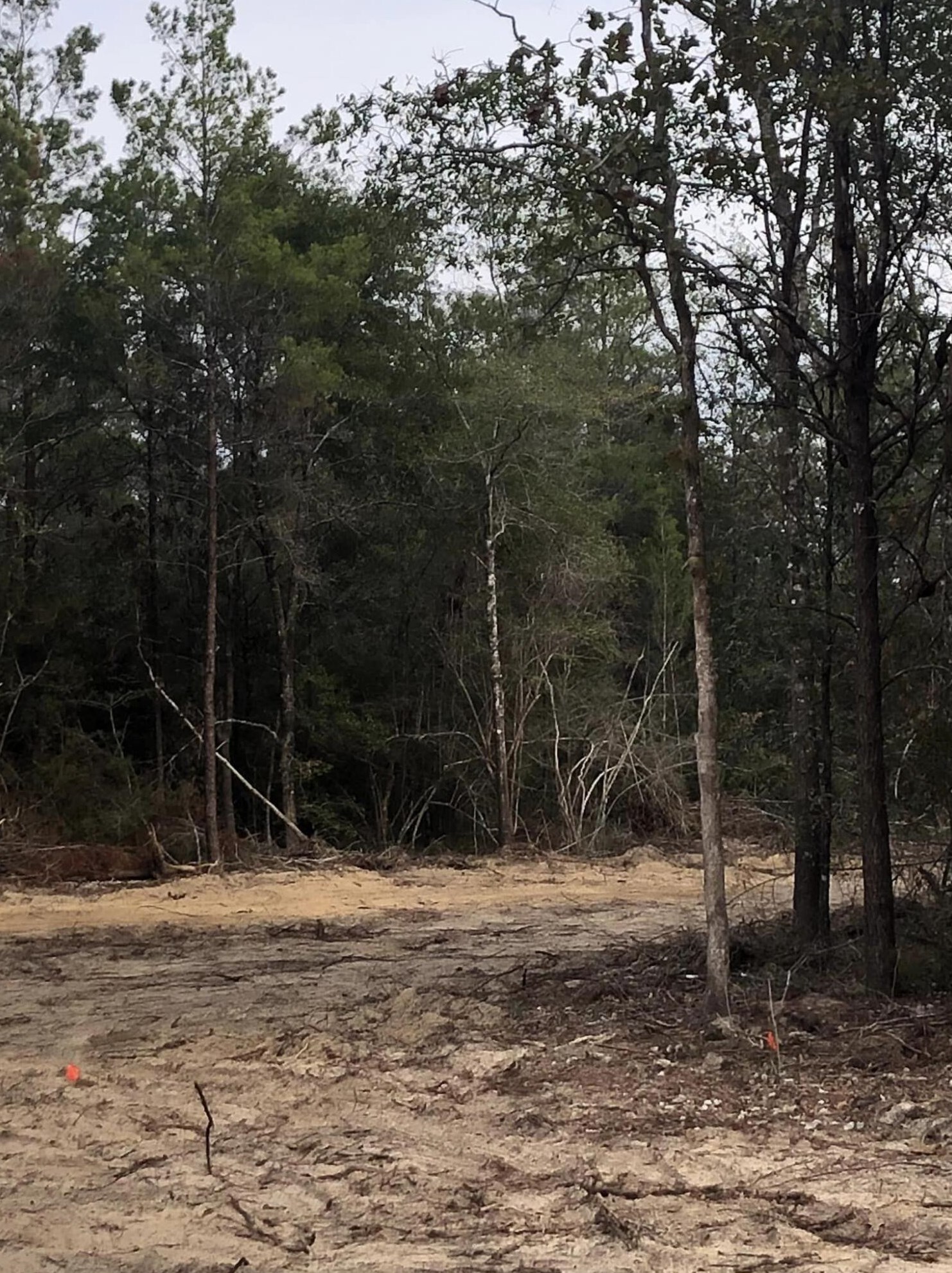 5222 Fowler Rd, Crestview, FL 32539-8742