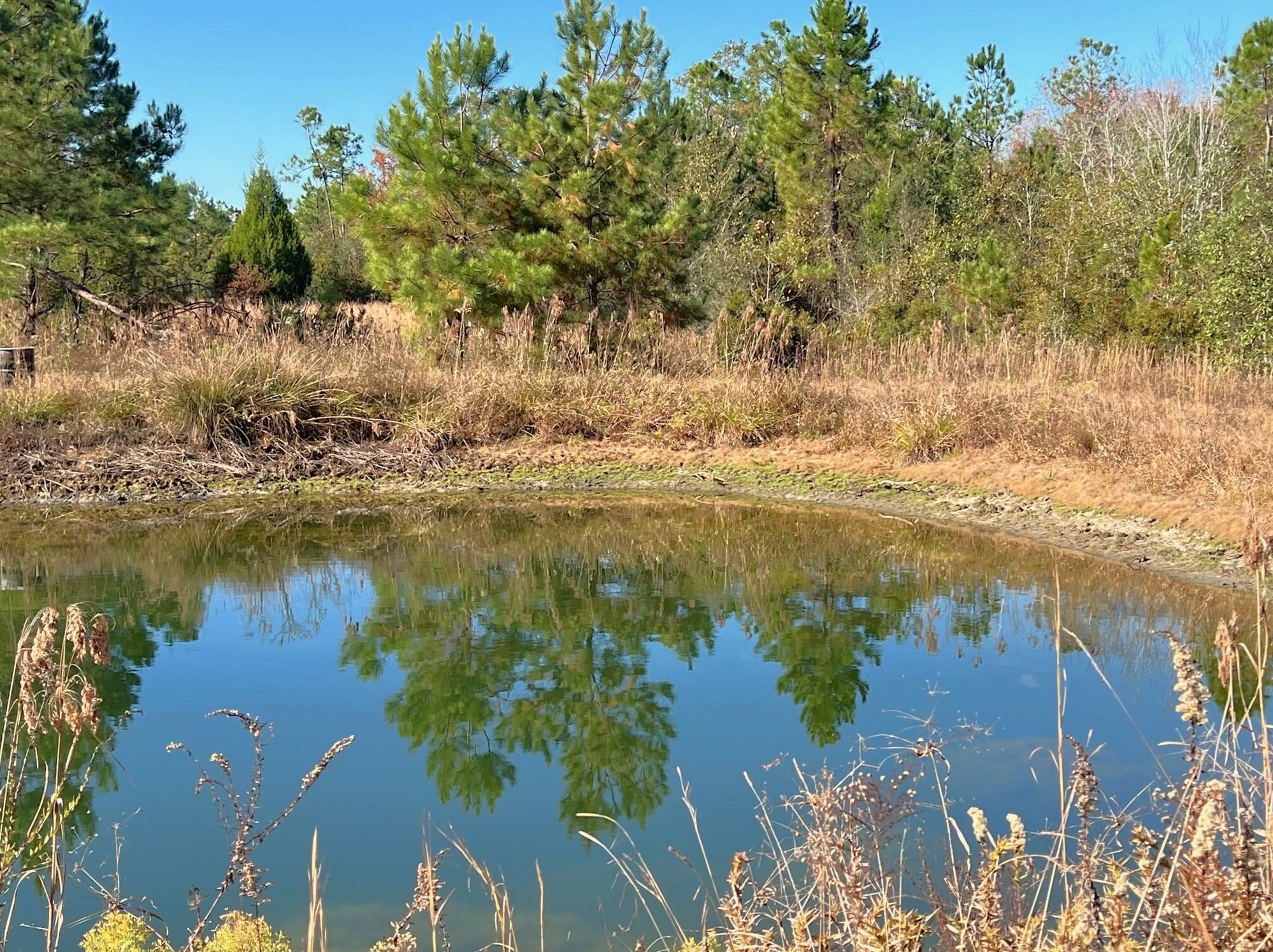 401 Mims Rd, Defuniak Springs, FL 32433