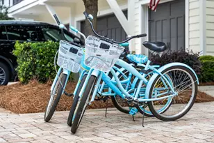 60 Milestone Dr, Inlet Beach, FL 32461 - Photo 38