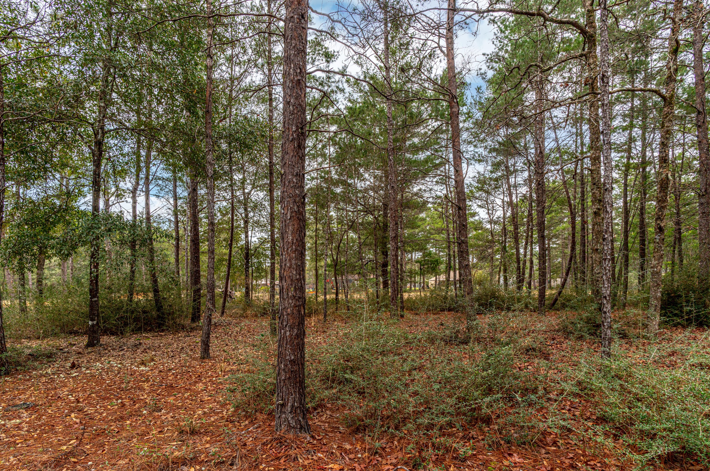 4037 Randi Rd, Crestview FL  32539-6506 exterior