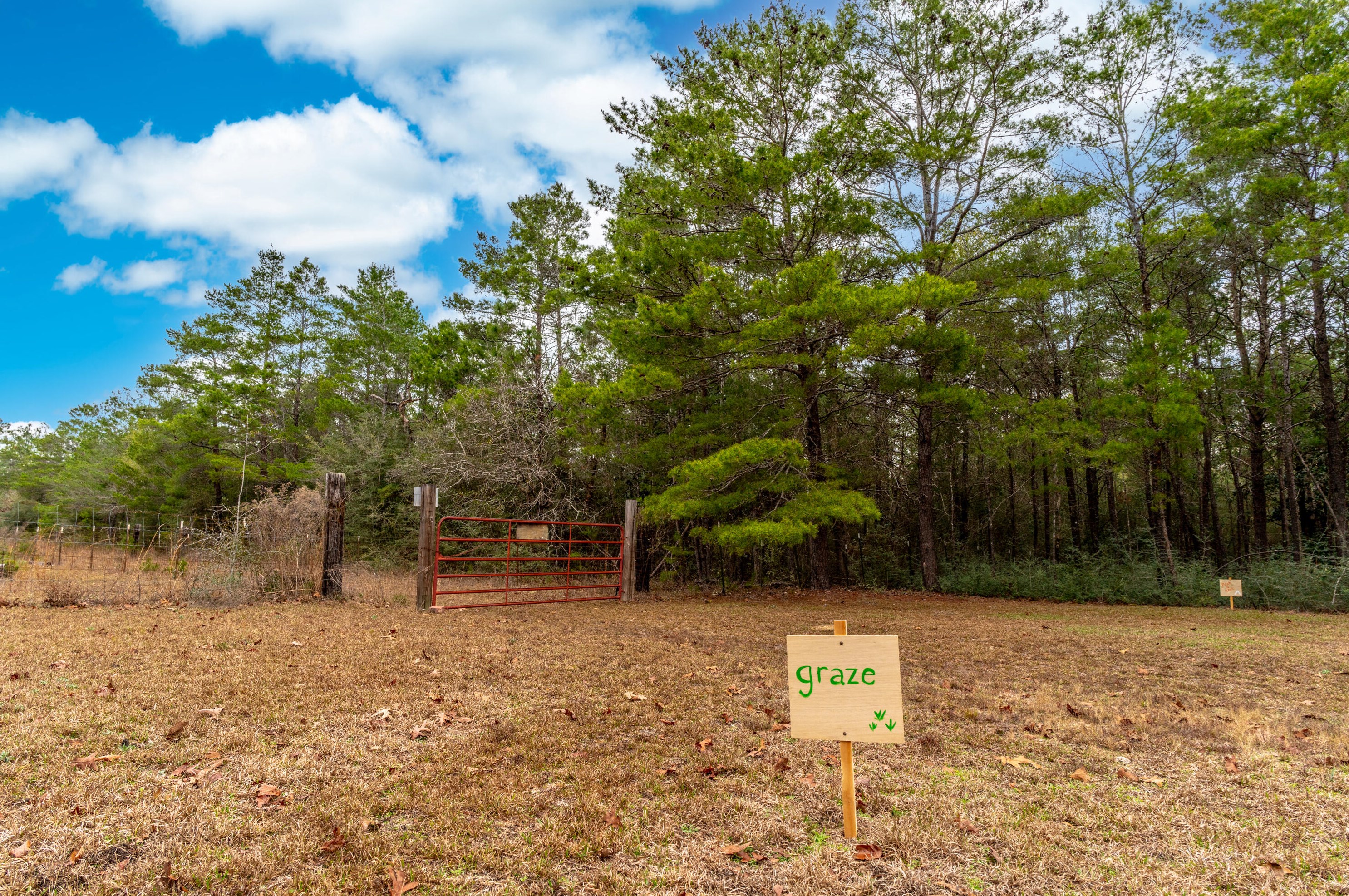 4037 Randi Rd, Crestview FL  32539-6506 exterior