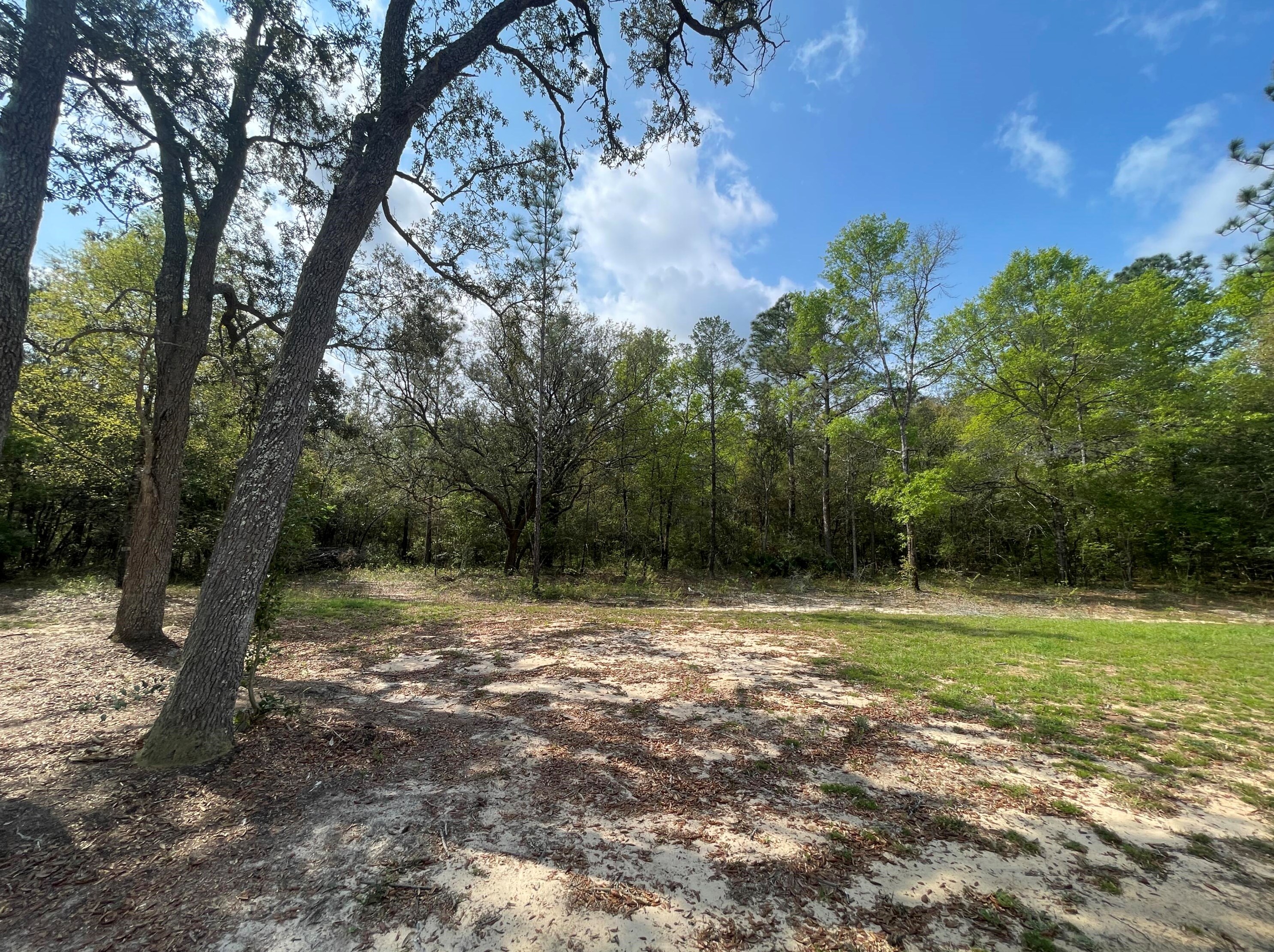4278 Horseshoe Ln, Holt, FL 32564