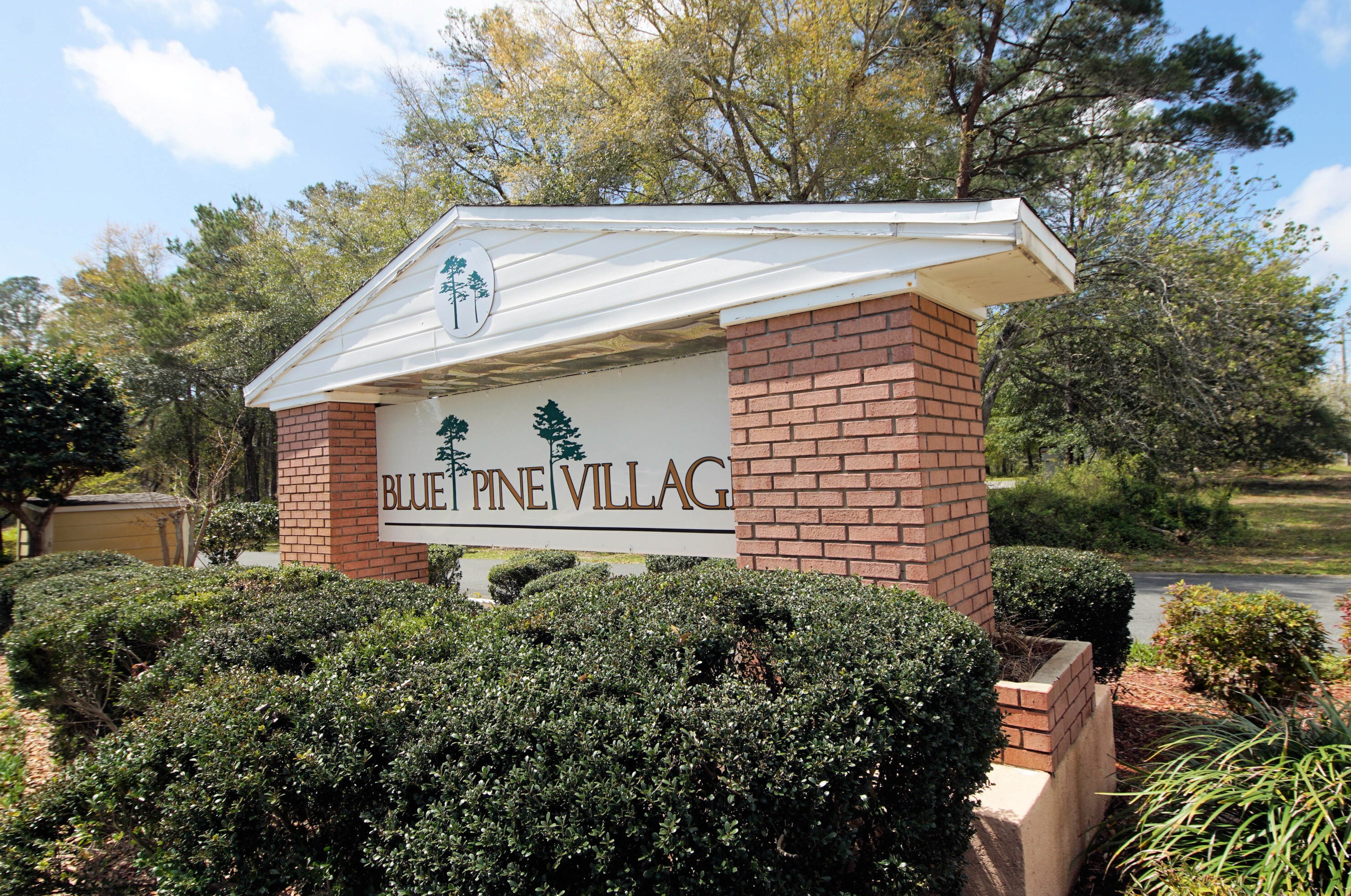 3006 Blue Pine Ln, Niceville FL  32578-9762 exterior