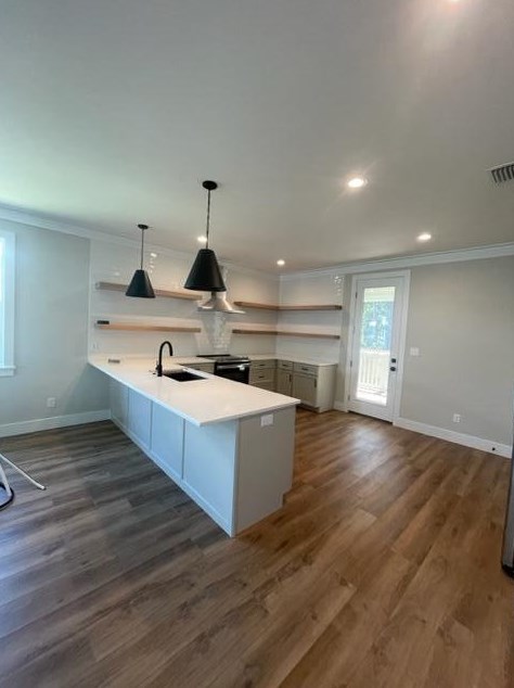 141 Wild Blueberry Way, Santa Rosa Beach, FL 32459-5682