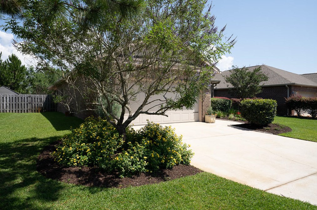 1059 Cocobolo Dr, Santa Rosa Beach, FL 32459-8047