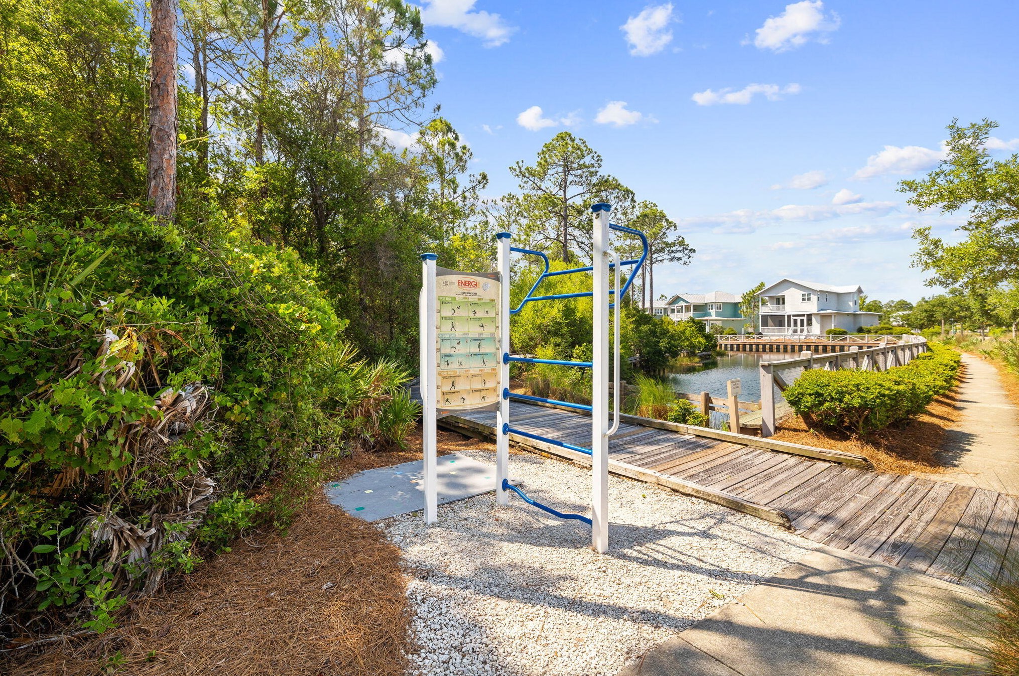 20 Beargrass Way, Santa Rosa Beach FL  32459-8832 exterior