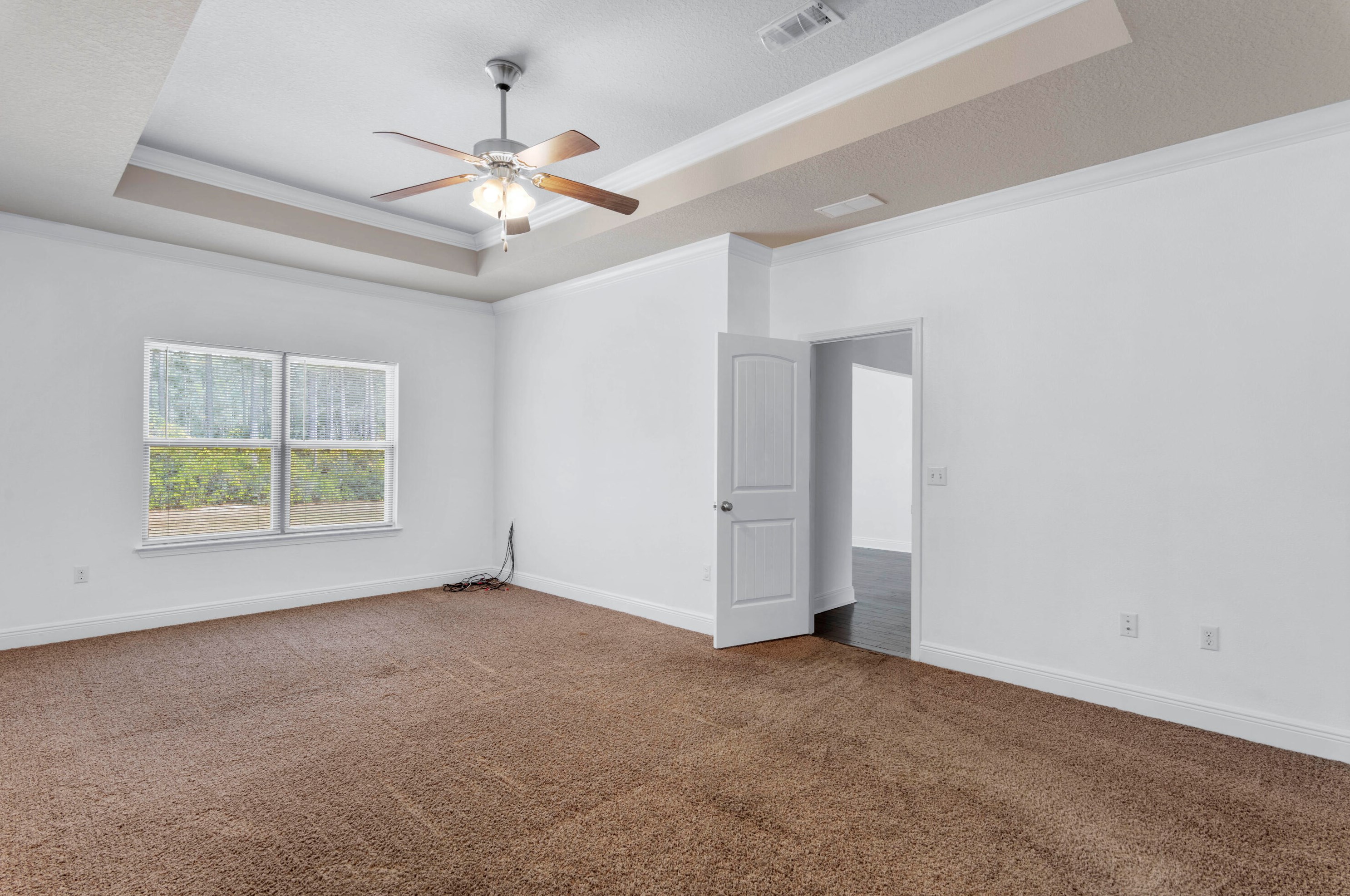 376 Cocobolo Dr, Santa Rosa Beach FL  32459-8038 exterior