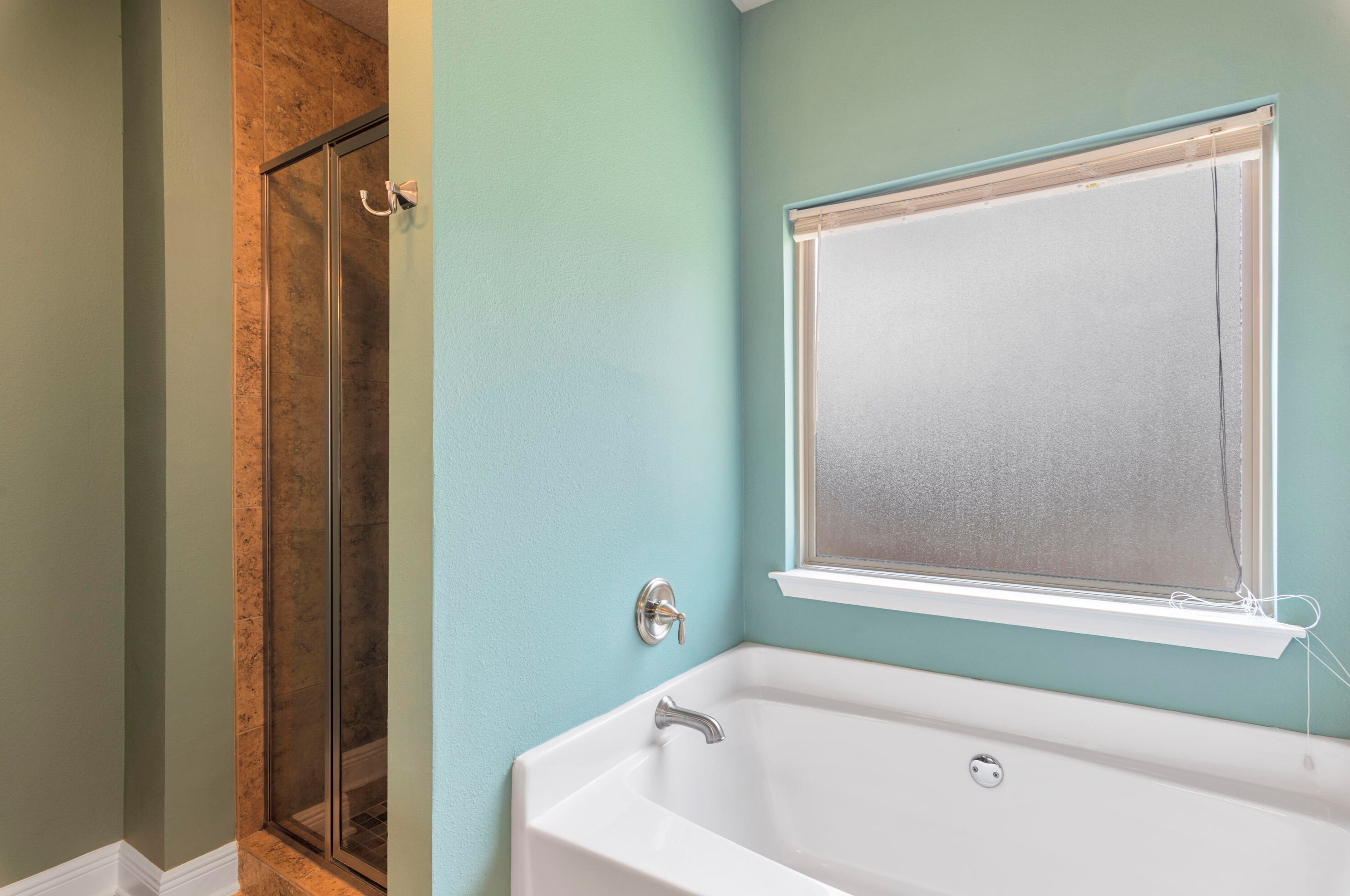 376 Cocobolo Dr, Santa Rosa Beach FL  32459-8038 exterior