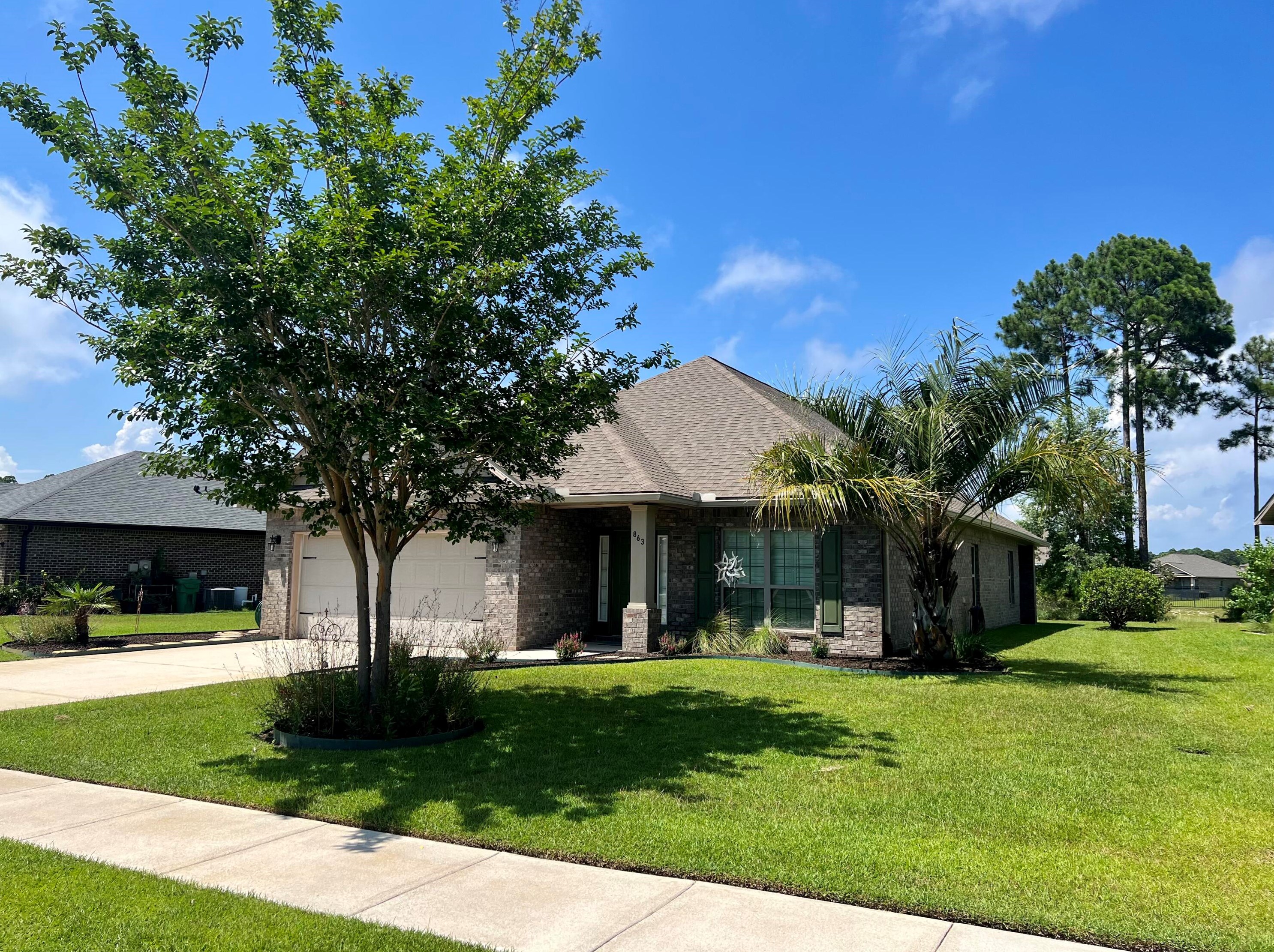863 Cocobolo Dr, Santa Rosa Beach, FL 32459-8045