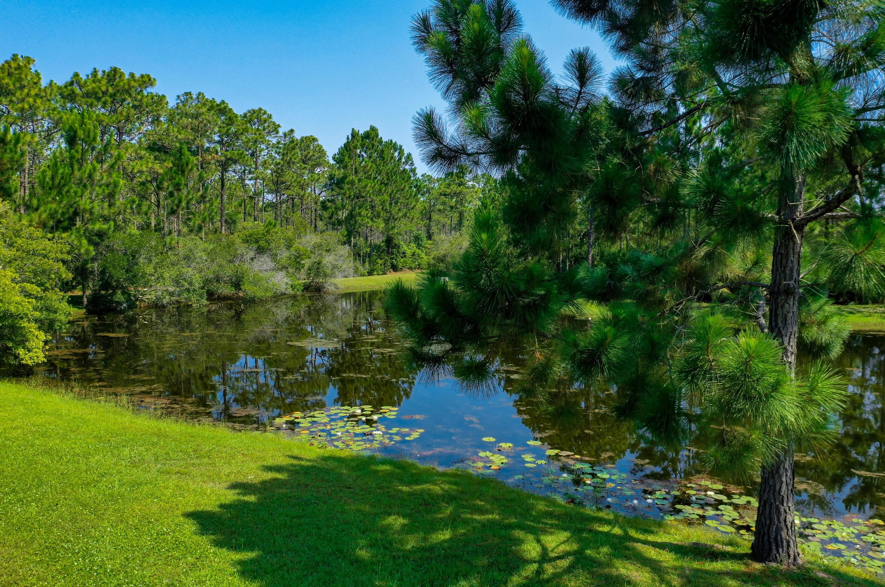 37 Knightsbridge Ct, Santa Rosa Beach FL  32459-8434 exterior