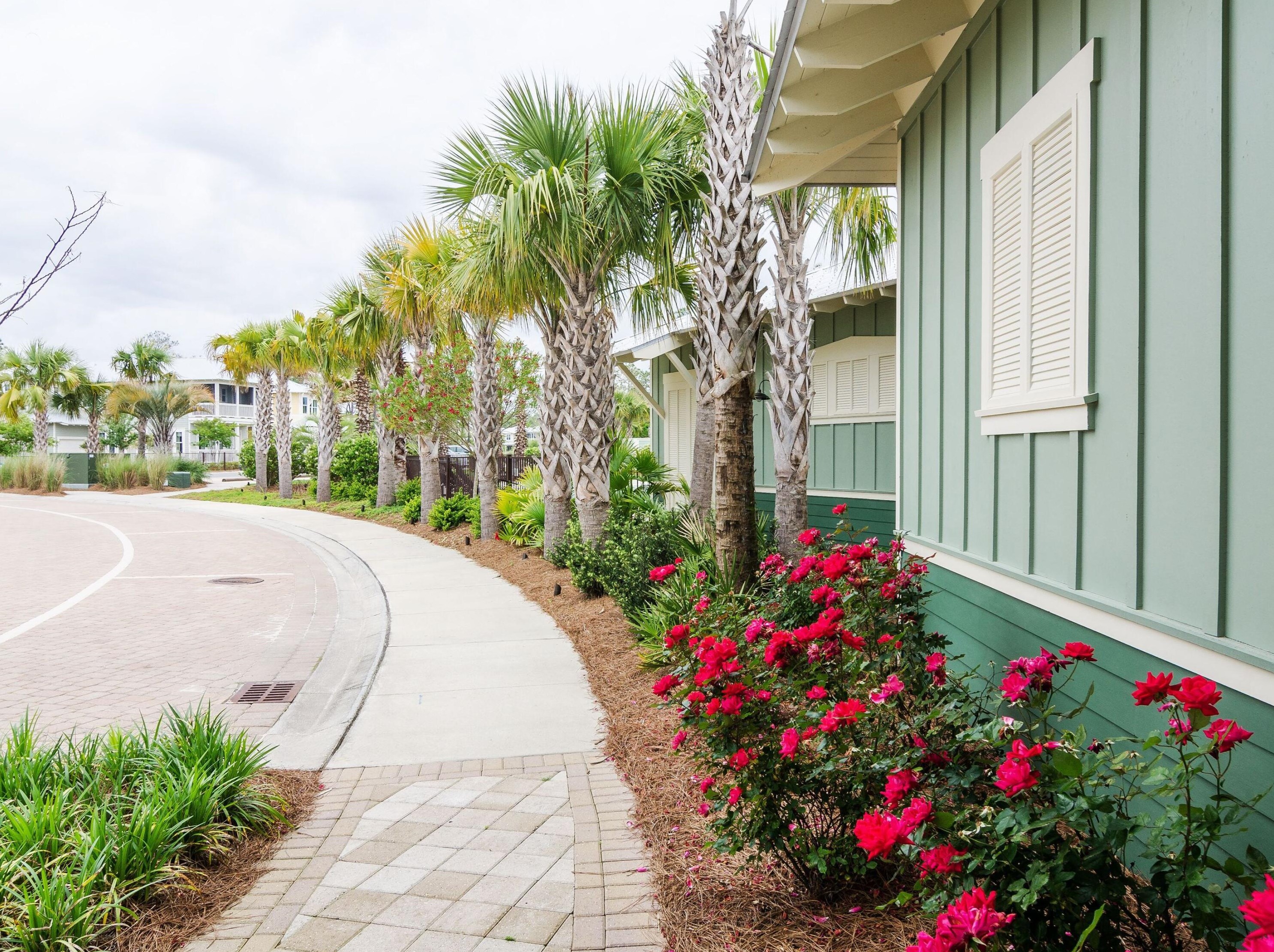 50 Salamander Cir, Santa Rosa Beach FL  32459-8859 exterior