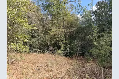 0.56 Christopher Lane, Crestview, FL 32539 - Photo 6