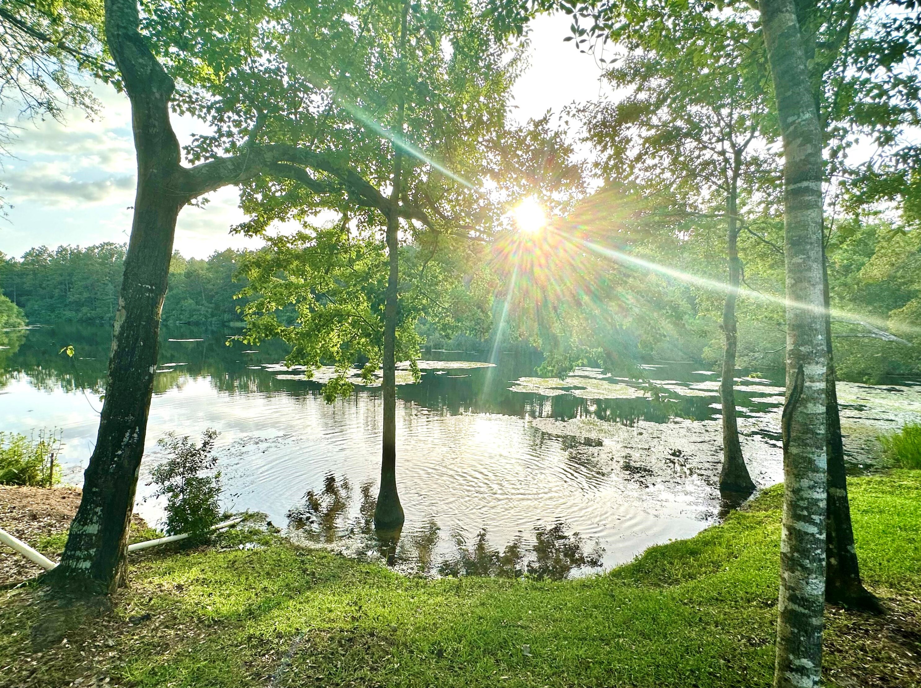 1207 Tallokas Rd, Crestview, FL 32536-5553