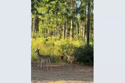 424 N Church Street Street N, Santa Rosa Beach, FL 32459 - Photo 68