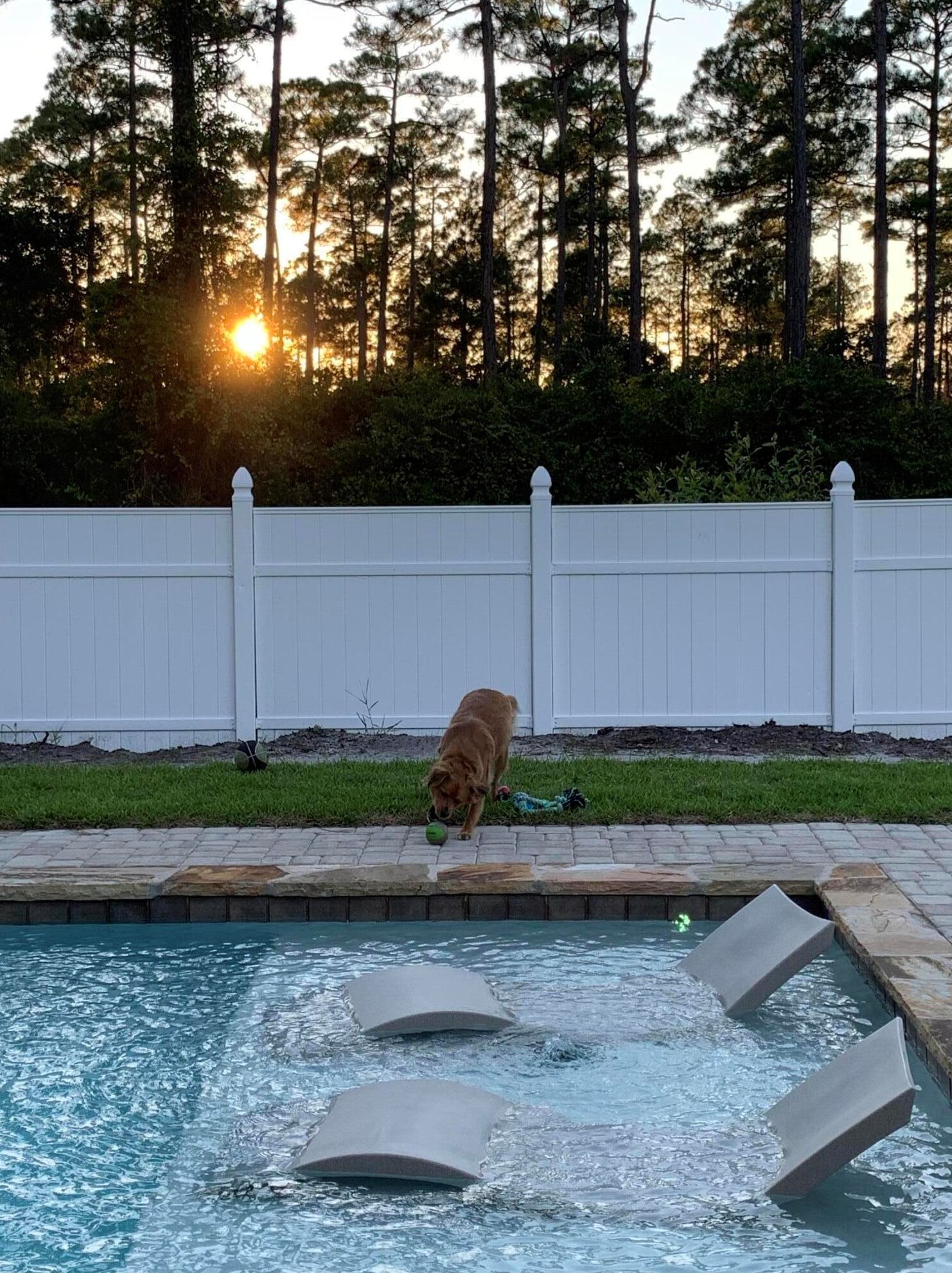 209 Santa Barbara Ave, Santa Rosa Beach FL  32459-4023 exterior