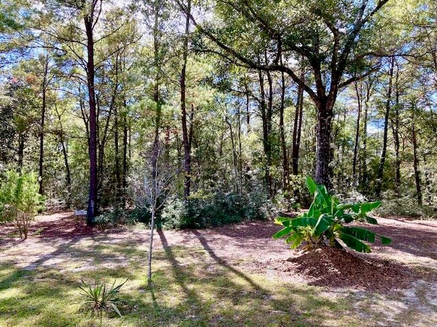 194 Creekside Ln, Defuniak Springs FL  32433-4906 exterior