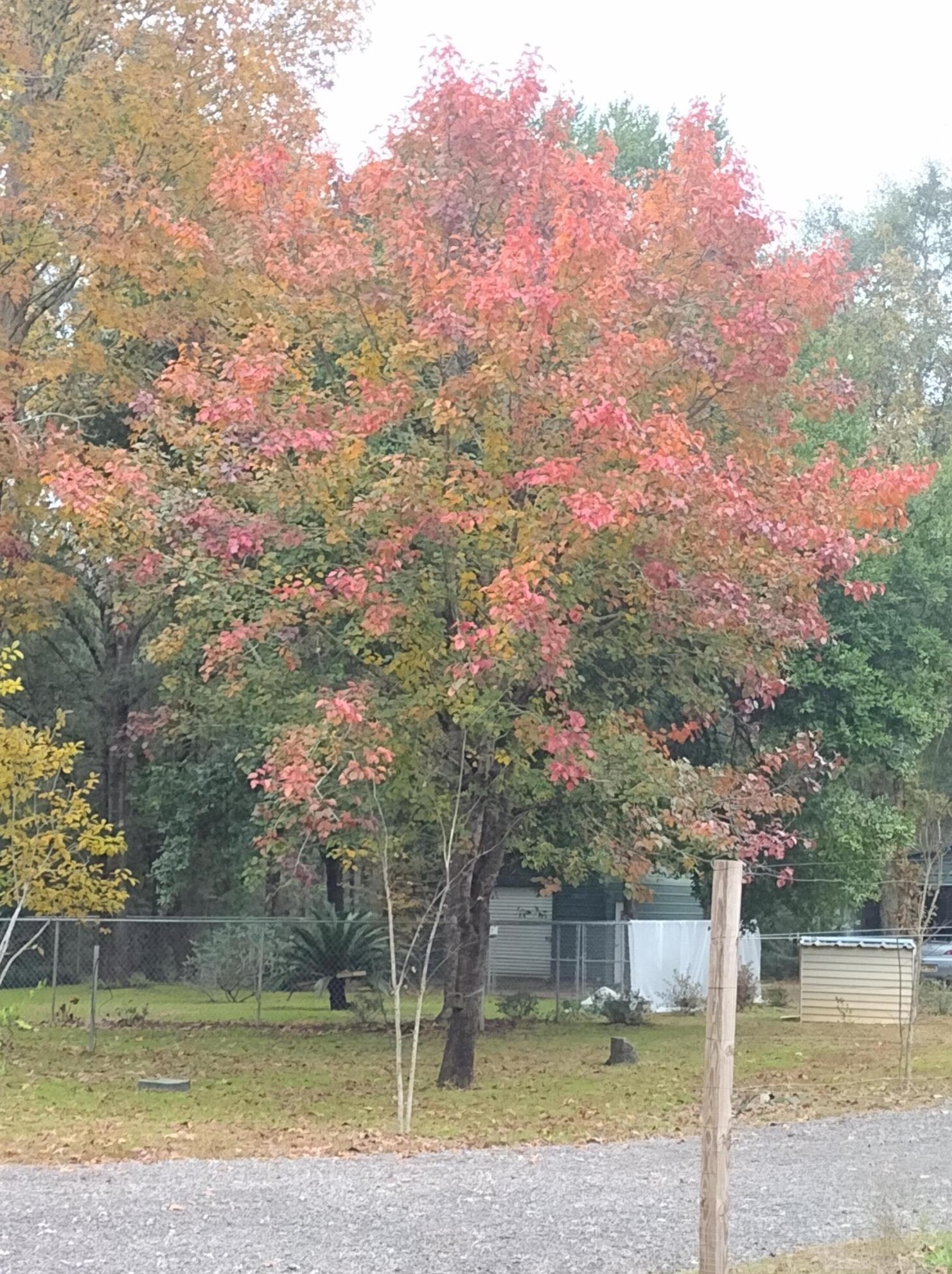 194 Creekside Ln, Defuniak Springs FL  32433-4906 exterior