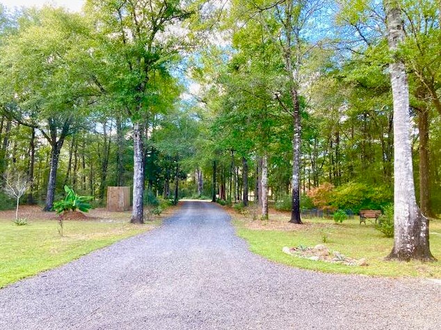 194 Creekside Ln, Defuniak Springs FL  32433-4906 exterior