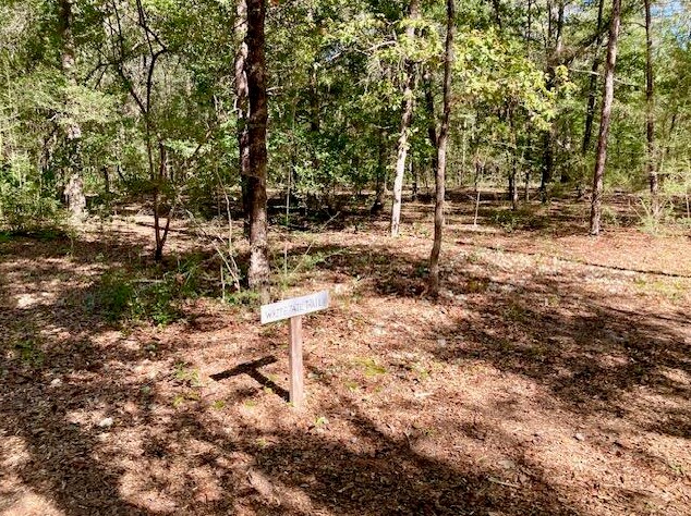 194 Creekside Ln, Defuniak Springs FL  32433-4906 exterior