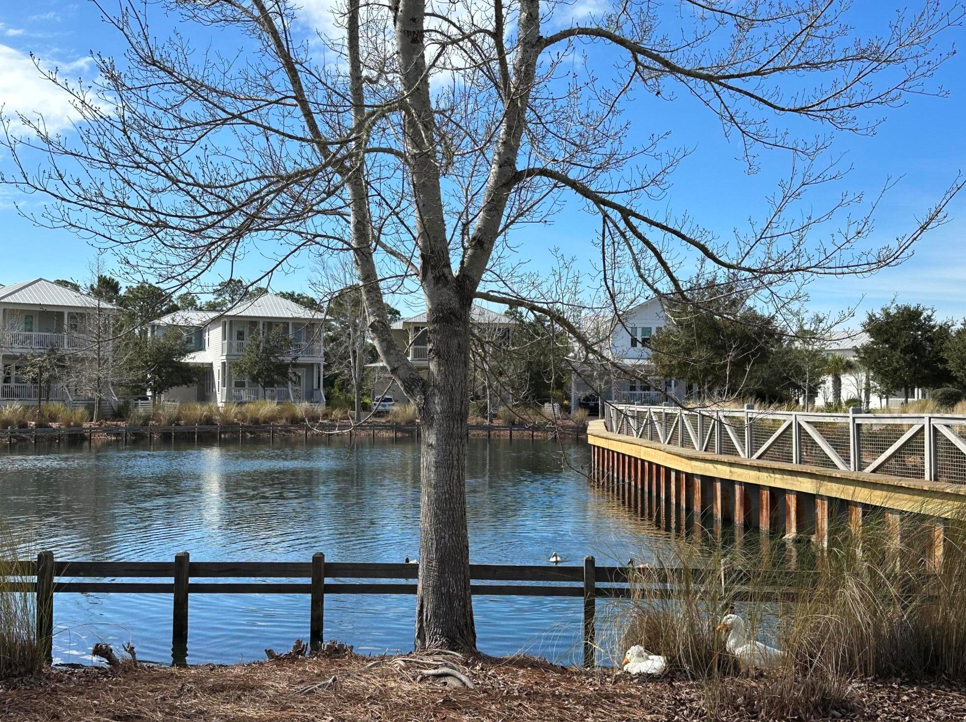 633 Flatwoods Forest Loop, Santa Rosa Beach FL  32459-8846 exterior