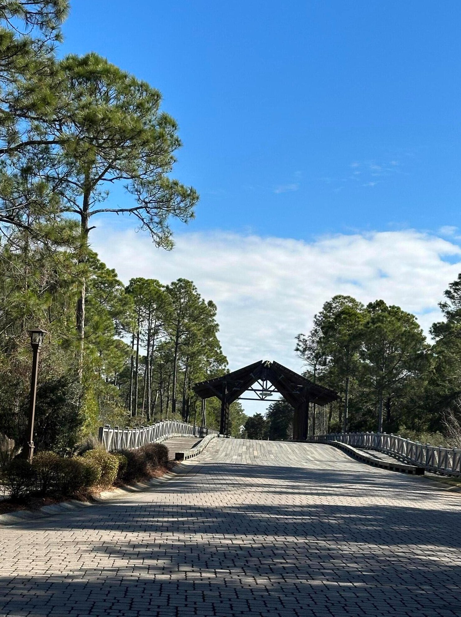 633 Flatwoods Forest Loop, Santa Rosa Beach FL  32459-8846 exterior