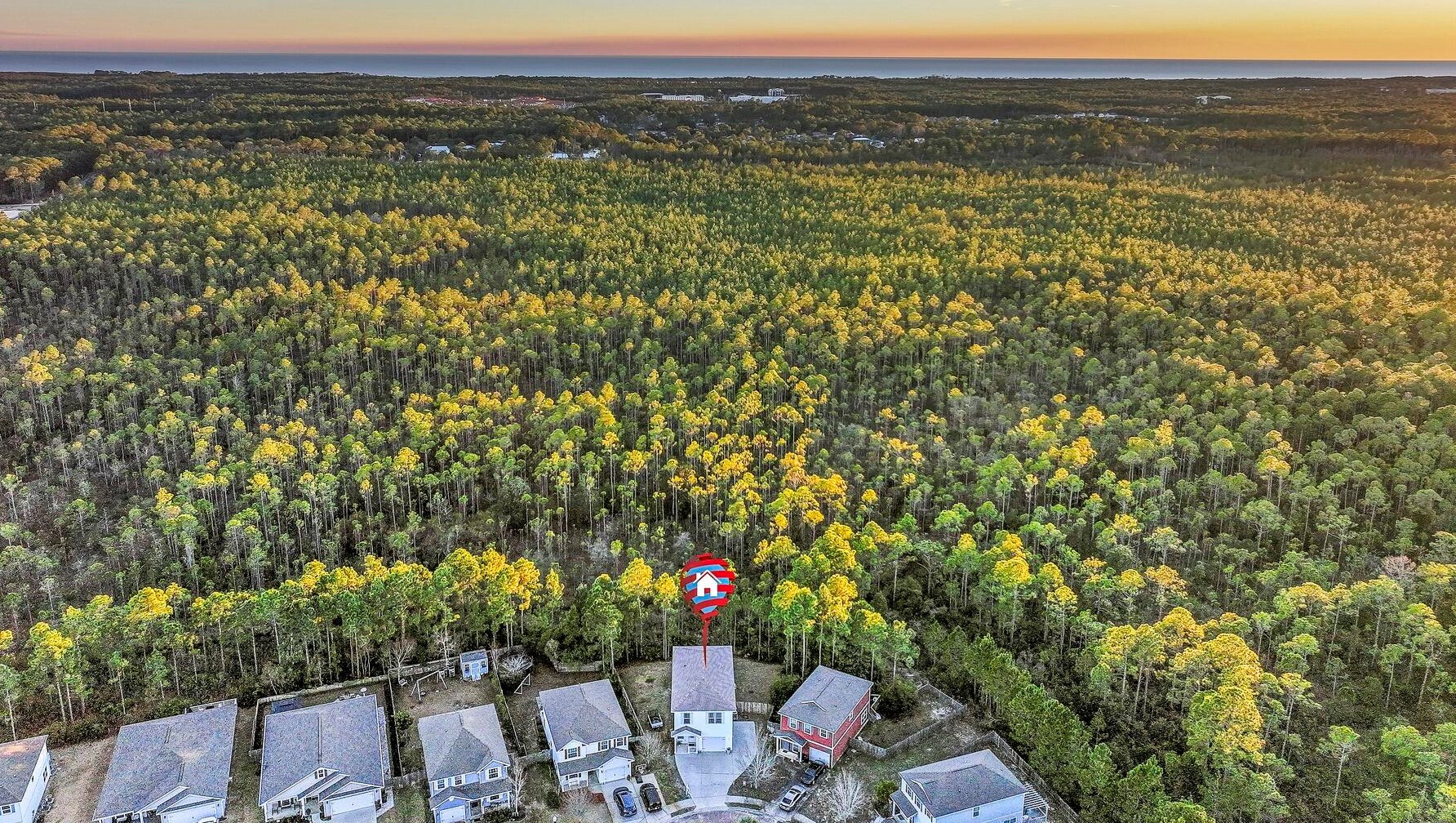 121 Topsail Dr, Santa Rosa Beach FL  32459-6136 exterior