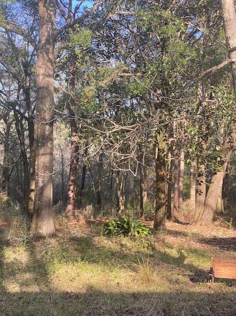 6071 Jesse Medley Rd, Crestview, FL 32539-9704