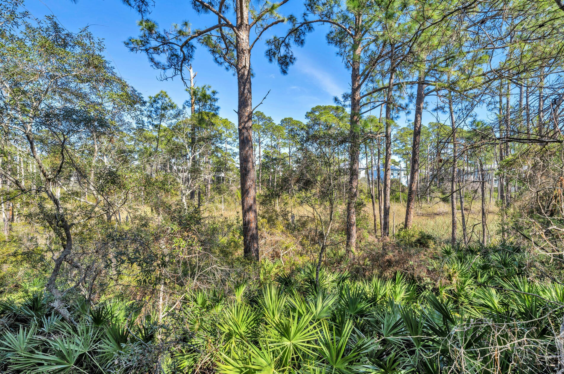 302 Cabana Trl, Santa Rosa Beach FL  32459-7574 exterior
