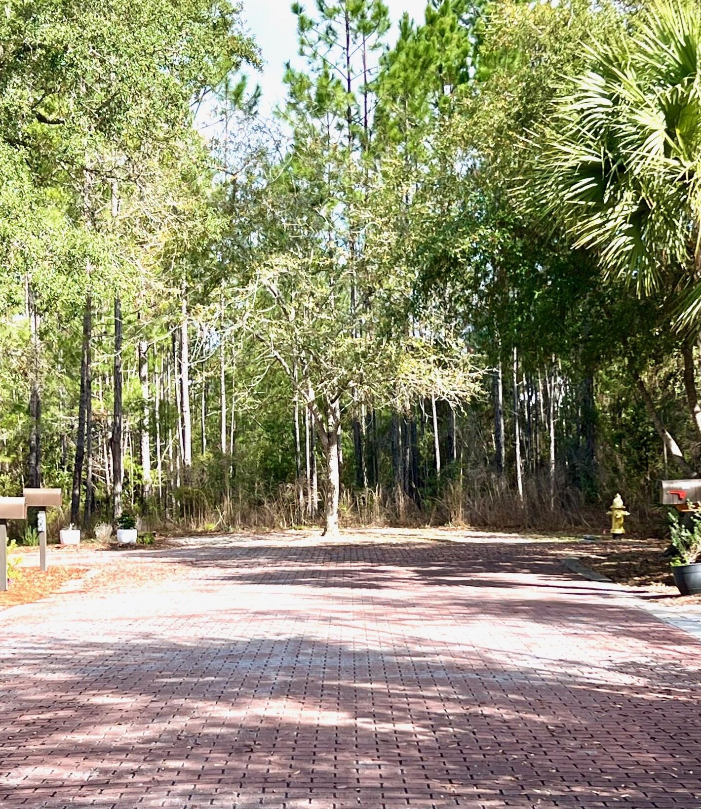 36 Grayton Bayou Dr, Santa Rosa Beach FL  32459-0823 exterior