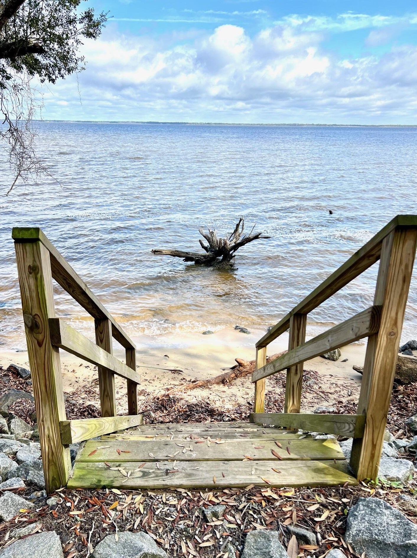 36 Grayton Bayou Dr, Santa Rosa Beach FL  32459-0823 exterior