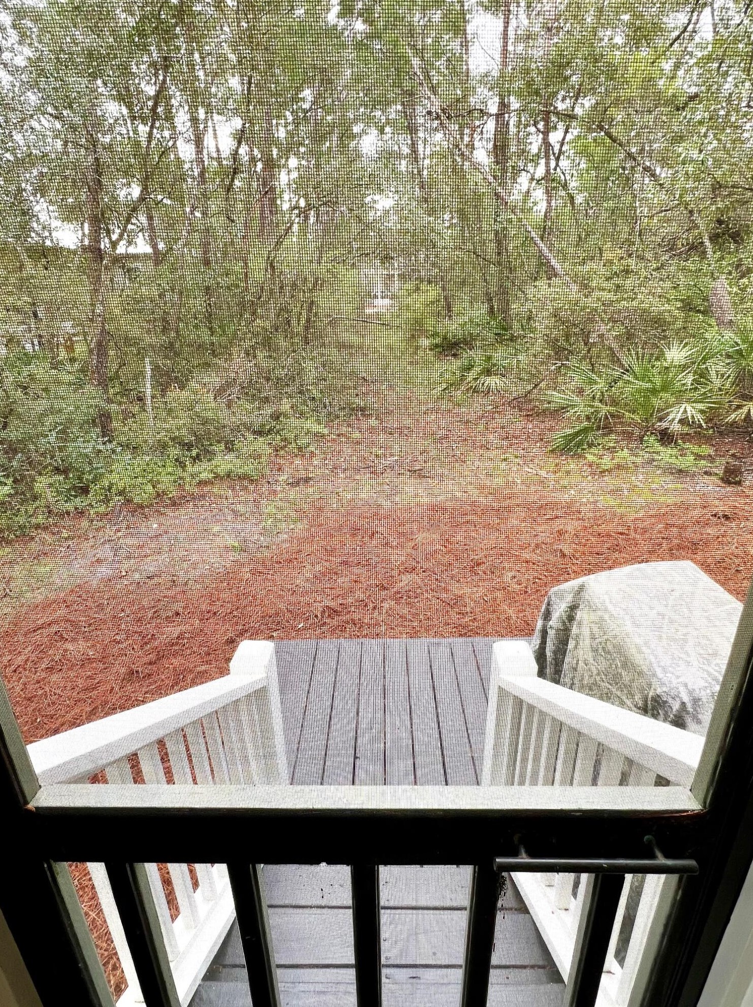 36 Grayton Bayou Dr, Santa Rosa Beach FL  32459-0823 exterior