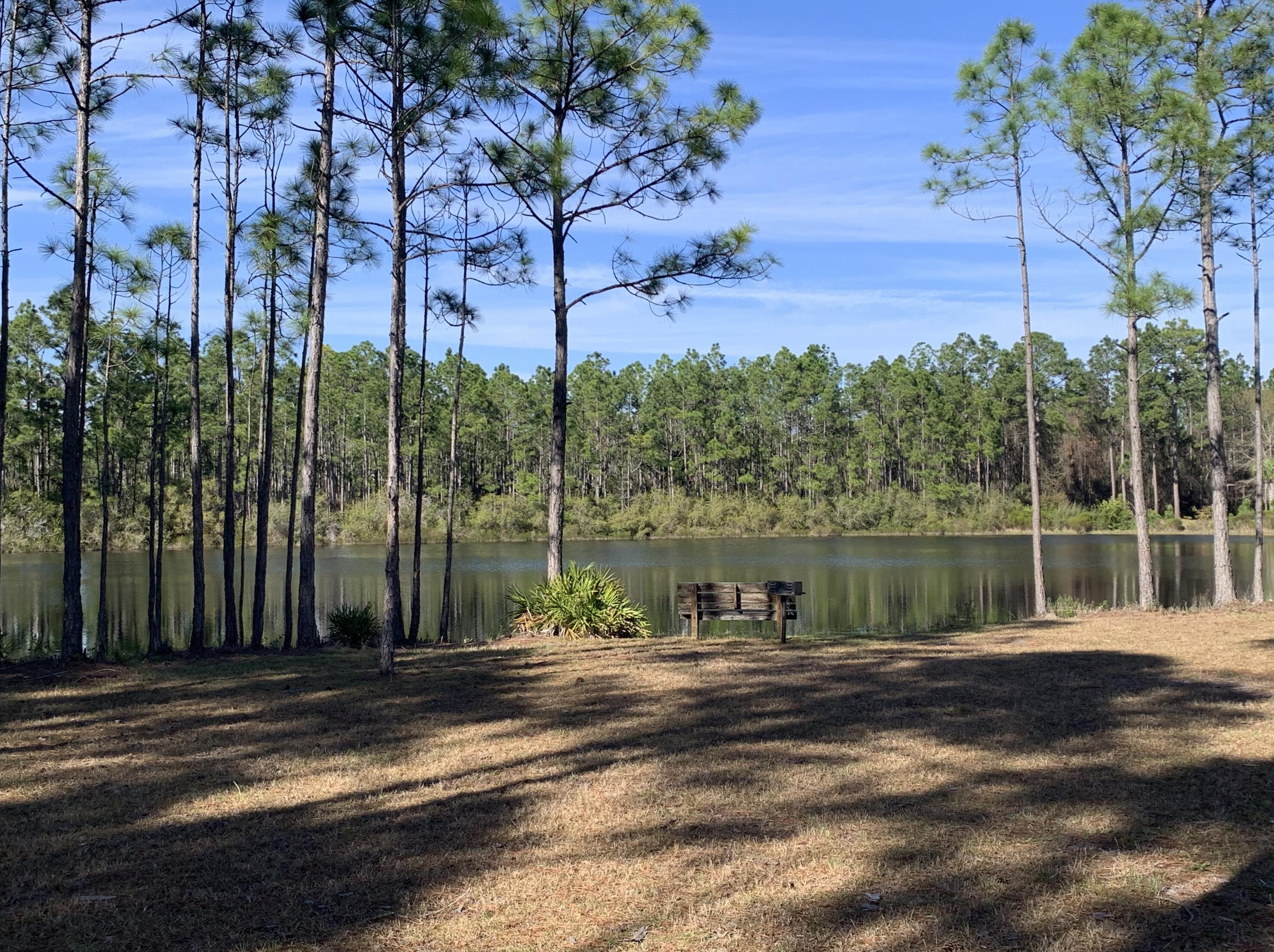 209 Santa Barbara Ave, Santa Rosa Beach FL  32459-4023 exterior