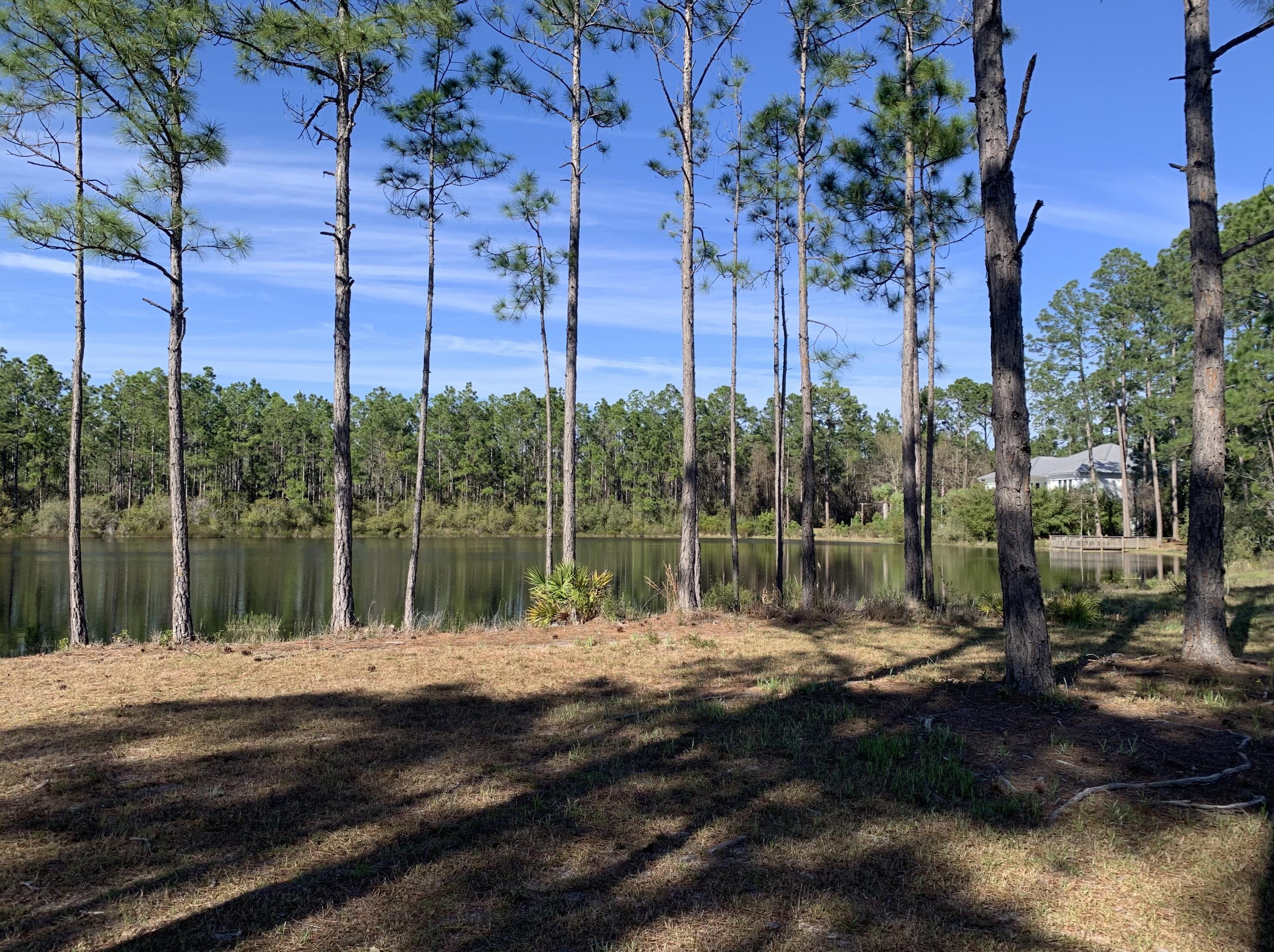 209 Santa Barbara Ave, Santa Rosa Beach FL  32459-4023 exterior