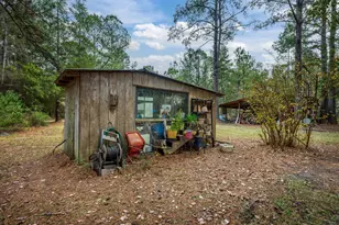 248 Bunny Ln, Freeport, FL 32439 - Photo 34