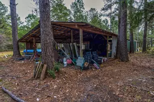 248 Bunny Ln, Freeport, FL 32439 - Photo 38