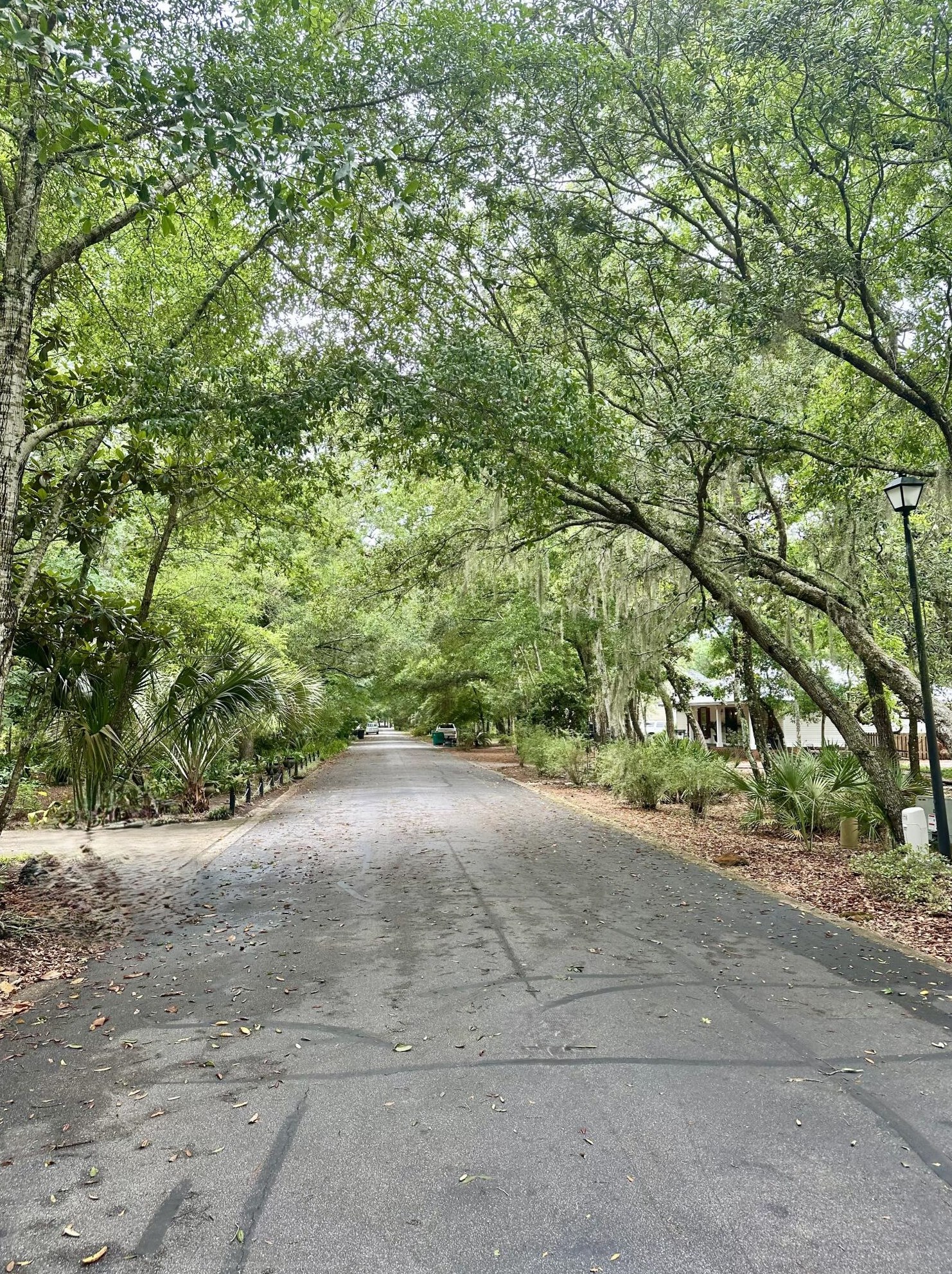 138 Blue Heron Dr, Santa Rosa Beach, FL 32459-3038