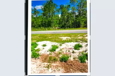 302 Frank McKamey Way, Carrabelle, FL 32322 - Photo 4