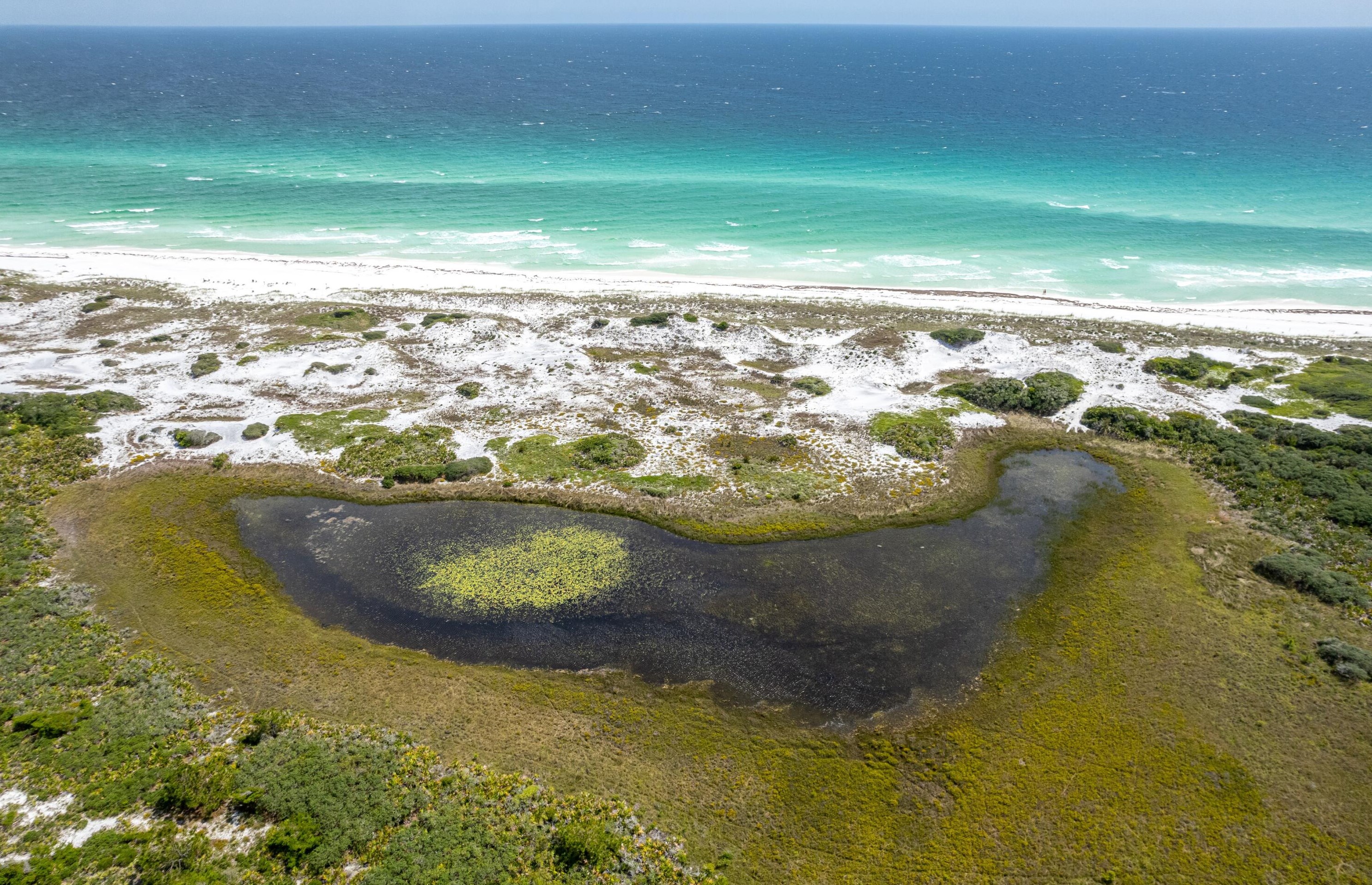 448 Cypress Dr, Santa Rosa Beach FL  32459-8586 exterior