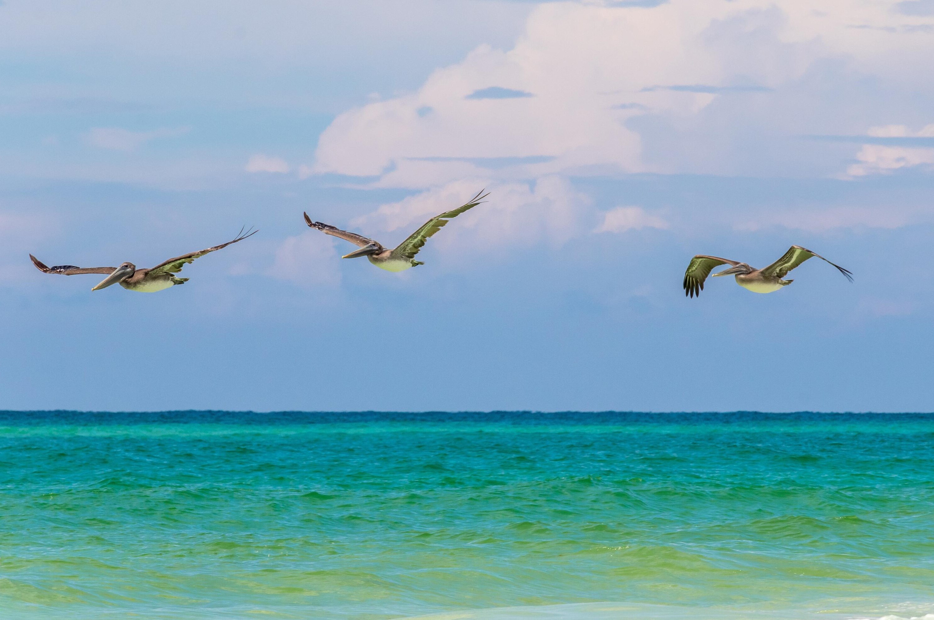 448 Cypress Dr, Santa Rosa Beach FL  32459-8586 exterior