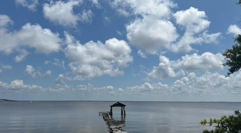 393 Bay Magnolia Ln, Santa Rosa Beach, FL 32459-5472