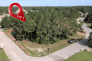 Lot 1 Indigo Loop, Miramar Beach, FL 32550 - Photo 1