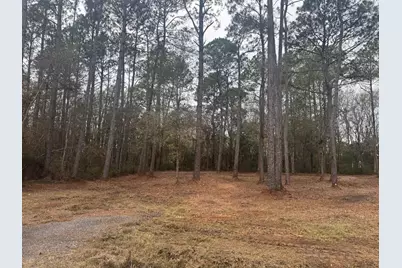 4579 Lakeview Drive, Milton, FL 32583 - Photo 2