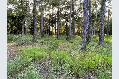 4579 Lakeview Drive, Milton, FL 32583 - Photo 12