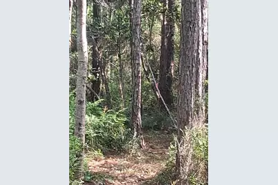 Lot 11 14th Street, Santa Rosa Beach, FL 32459 - Photo 4