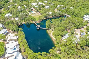 16 Lanier Ln, Santa Rosa Beach, FL 32459 - Photo 52