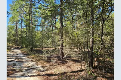 .69 Acre E Dogwood East Avenue E, Defuniak Springs, FL 32433 - Photo 10