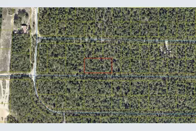 .69 Acre E Dogwood East Avenue E, Defuniak Springs, FL 32433 - Photo 2