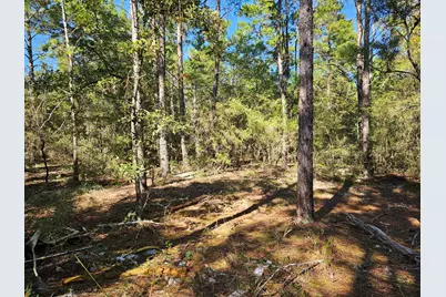 .69 Acre E Dogwood East Avenue E, Defuniak Springs, FL 32433 - Photo 6