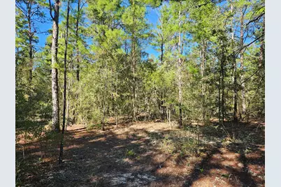 .69 Acre E Dogwood East Avenue E, Defuniak Springs, FL 32433 - Photo 8