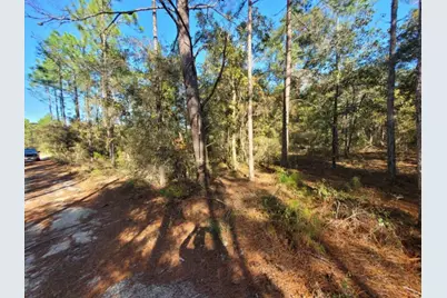 Lot 10 Blk 20 English Holly Lane, Defuniak Springs, FL 32433 - Photo 1